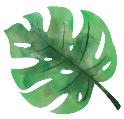 Le Jardin des Merveilles